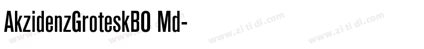 AkzidenzGroteskBO Md字体转换